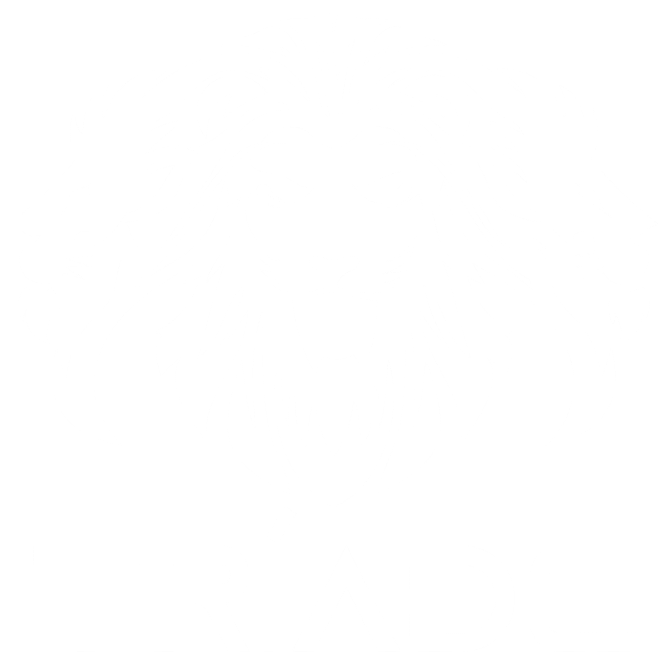 Tríade Centro de Treinamento